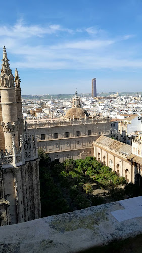 Comentarii opinii despre Slice of New York Pizza Sevilla