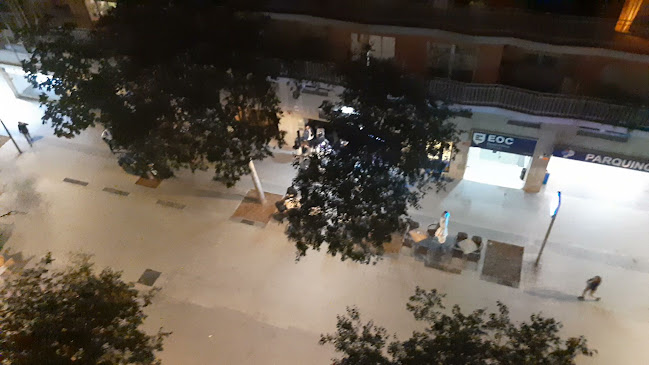 Bare Nostrum Bar Coctelería Gintoniquería - Gastronomía y hostelería