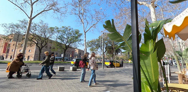 Colibri Brunch & Tapa Paellas - Gastronomía y hostelería