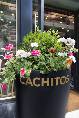 Av. Diagonal, 508, Sarrià-Sant Gervasi, 08006 Barcelona