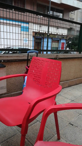 La Vitola Restaurante Open Times