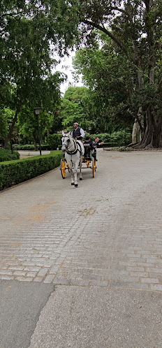 Reviews of Tapería El Baluarte in Sevilla - Gastronomía y hostelería