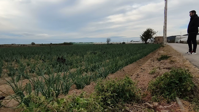 Hostal Solfina - Gastronomía y hostelería