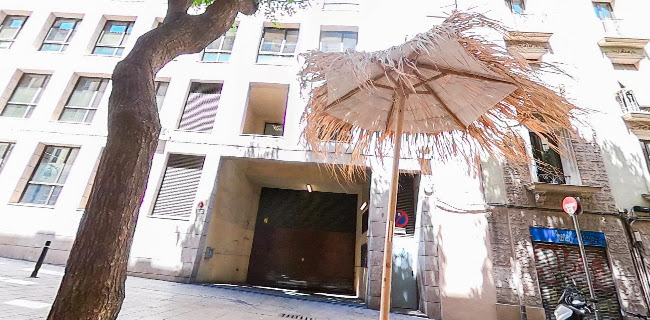 Vegan Junk Food Bar Phone number