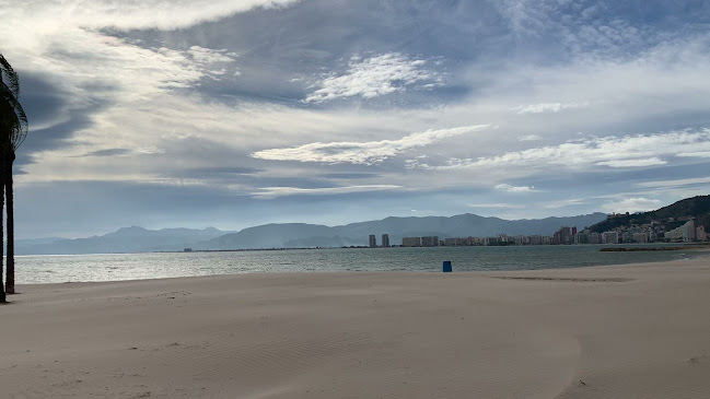 Restaurante EL TIMÓN comida mediterranea arroceria terraza frente al mar - Faro de Cullera