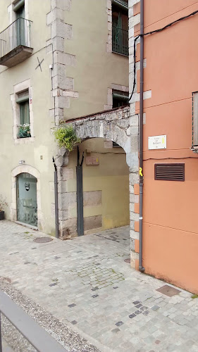 Somia Vins i Llibres