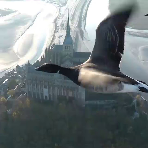 Reviews of Tasca Er Pancho, Bar Restaurante in Roquetas de Mar - Gastronomía y hostelería