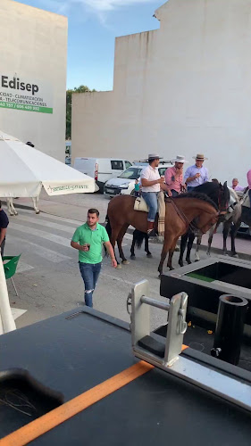 C. del Granao, 2, 30800 Tercia, Murcia