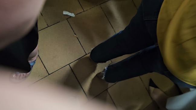 Taberna Skala - Gastronomía y hostelería