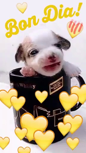 CHURRERIA YO' JUAN - Las Palmas