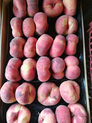 Bar Jardín Open Times