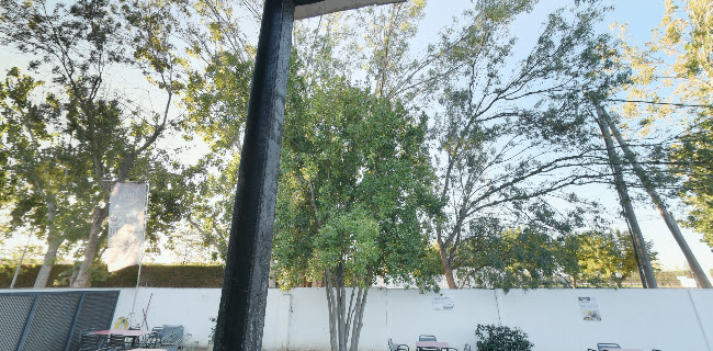 Carrer Antic Camí de Sant Martí, s/n, 08720 Vilafranca del Penedès, Barcelona