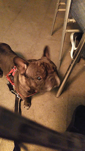 Opinii despre Ceferino Cafetería Cervecería în Barcelona - Gastronomía y hostelería