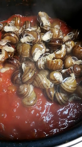 Reviews of Stelvio Tapas Cinegia in Zaragoza - Gastronomía y hostelería