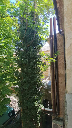 Restaurante Reyes de Aragón Open Times