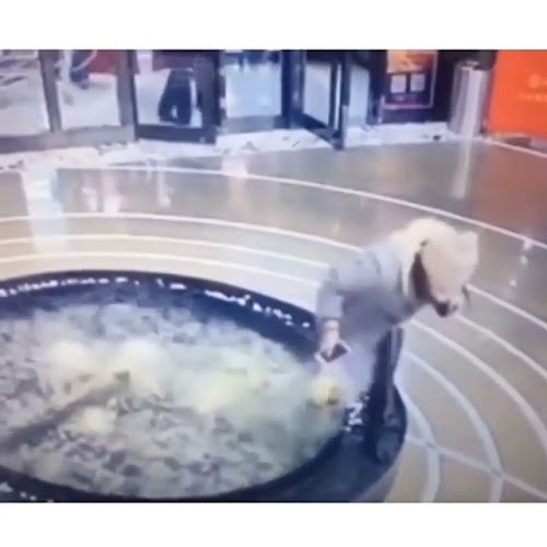 Carambolo Lounge bar - Sevilla