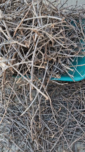 Soca-rel Restaurant Empordà - Gastronomía y hostelería