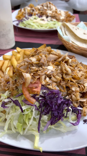 Opinii despre Kashmir Kebab Pizzería în Valencia - Gastronomía y hostelería