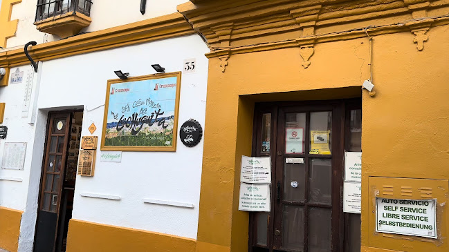 Bar El Lechuguita - Ronda