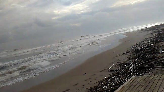 Heladería RIO 2.0 cerveceria - Daimús