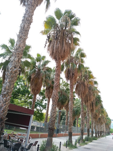 Pastelería La Paz Phone number