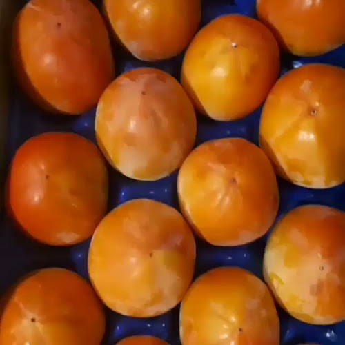 Lugar Mercat Central, 0 S/N, Pl. de Corsini, s/n, 43001 Tarragona