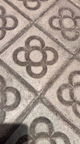 M2 Gluten Free | Sin Gluten