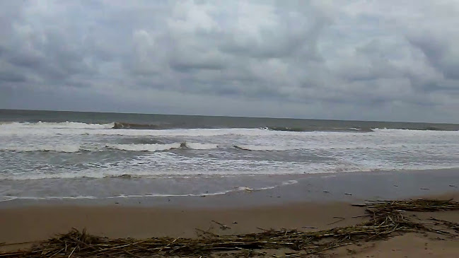 Plaza Alcalde Fco. Castelló s/n Plaça de la barca, 46710 Daimús, Valencia