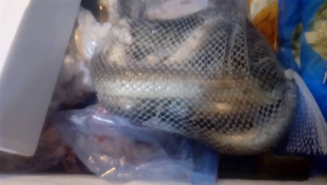 Opinii despre Café Bar Restaurante Nou Alameda în Oliva - Gastronomía y hostelería