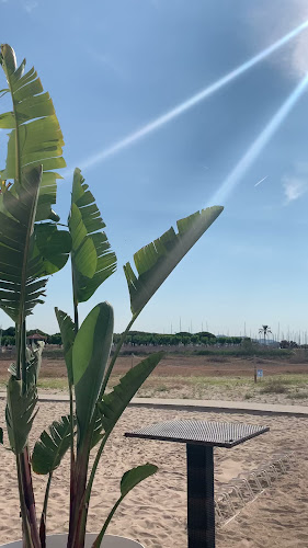 HABANA BLUE CHIRINGUITO - Gastronomía y hostelería