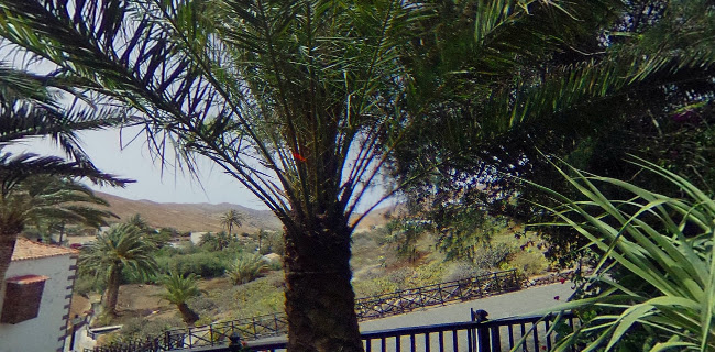 Opinii despre Casa Santa Maria în Betancuria - Gastronomía y hostelería