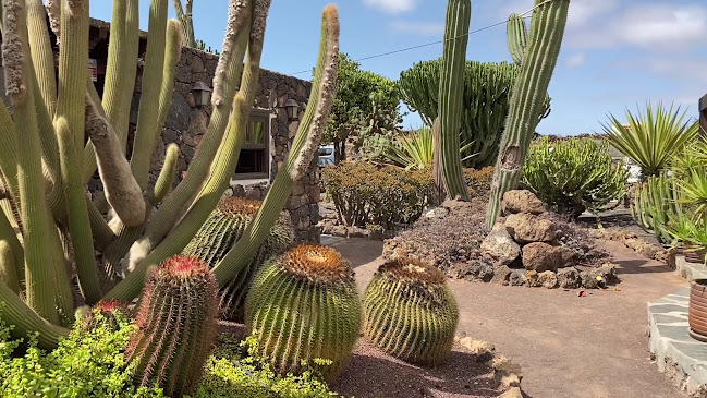 Restaurante Mahoh - Villaverde