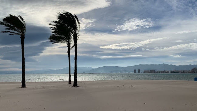 Comments and reviews of Restaurante EL TIMÓN comida mediterranea arroceria terraza frente al mar