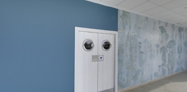 El Camarote & The Roof Phone number