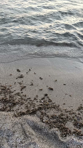 hummburger - Alicante