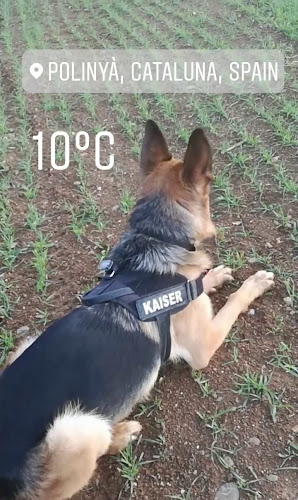 Carrer de les Escoles, 6, 08213 Polinyà, Barcelona