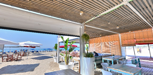 HABANA BLUE CHIRINGUITO Open Times