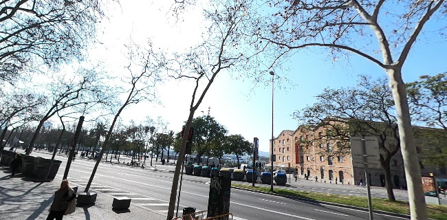 Colibri Brunch & Tapa Paellas - Barcelona