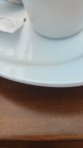 Fresquet Riumar Open Times