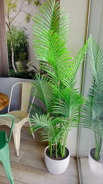 Brunch Pack - Valencia