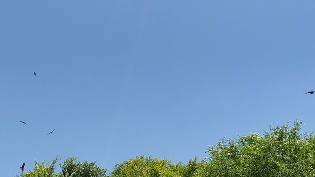 C. Castro Celta, 05489 El Raso, Ávila