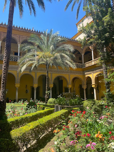 C. Bailén, 34, Casco Antiguo, 41001 Sevilla