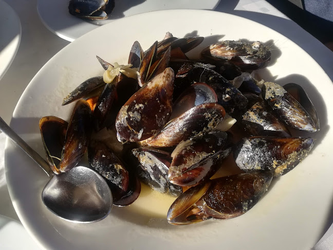 Ronda dels Pins, 13, 43549 Poble Nou, Tarragona