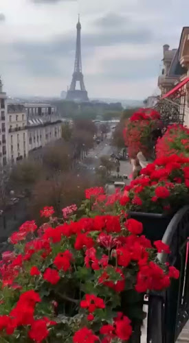 Reviews of Bar Internacional in Madrid - Gastronomía y hostelería