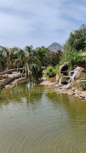 Restaurante Ca Aleix Phone number