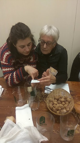 Comentarii opinii despre Isastegi Sagardotegia