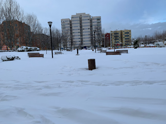 Bar Zafiro Open Times