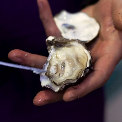 Reviews of El Casal Café Bar - Tapas, Vinos y Ostras in Barcelona - Gastronomía y hostelería