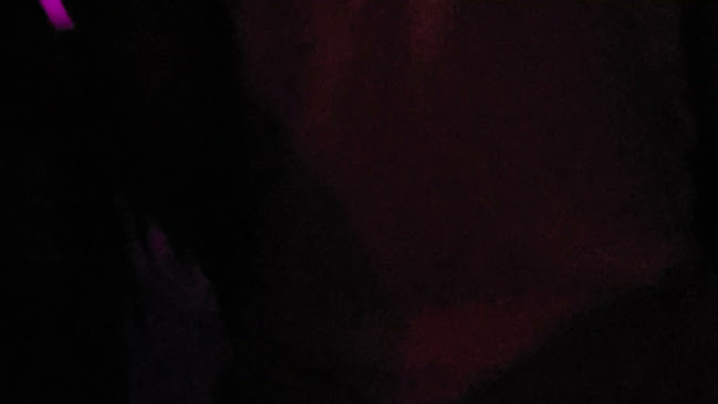 Intruso Bar Open Times