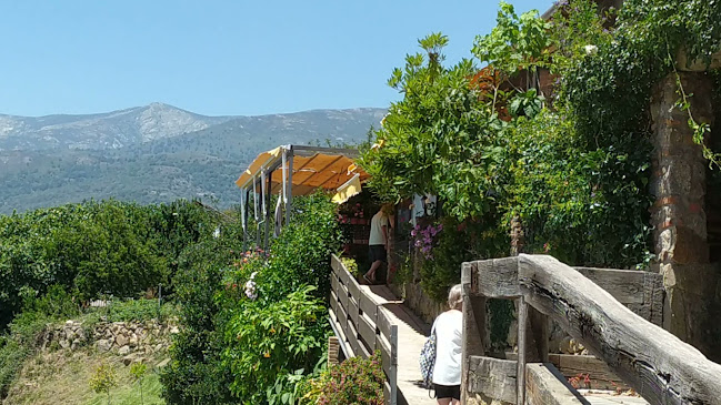 Restaurante El Mirador de Gredos Candeleda - Gastronomía y hostelería